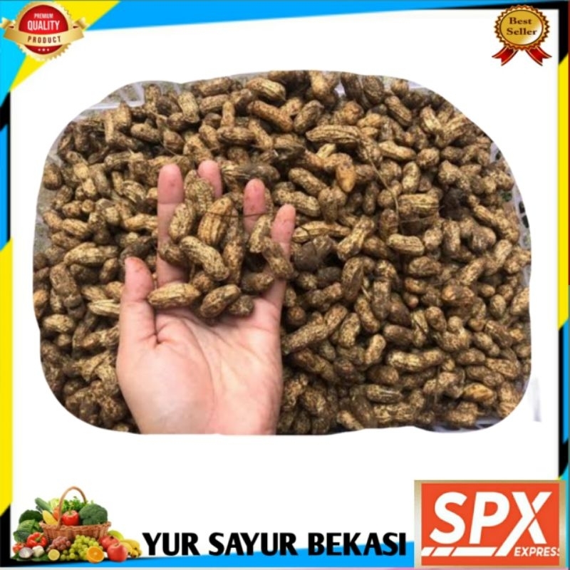 

Kacang Tanah Kulit Mentah 500gr