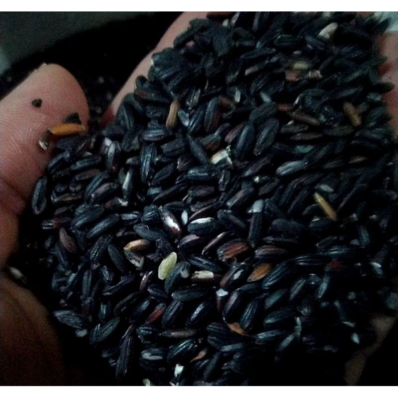 

Beras hitam pecah kulit 4kg kemasan vakum Rice diet