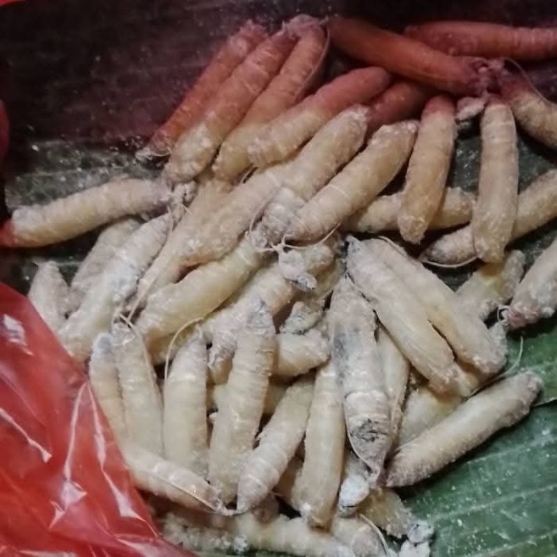 UMPAN PANCING KEPOMPONG DAUN PISANG 20PCS
