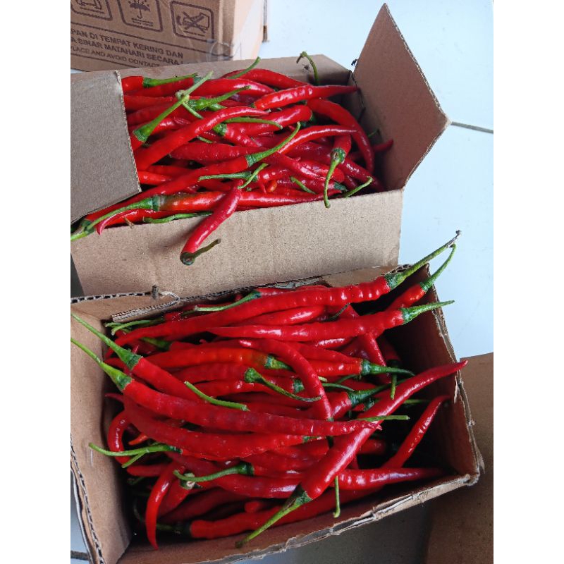 

cabekeritingspr 500-1000gr