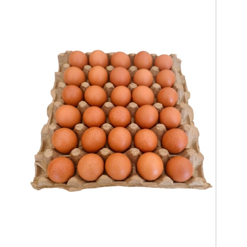 

Telur ayam isi 30 butir