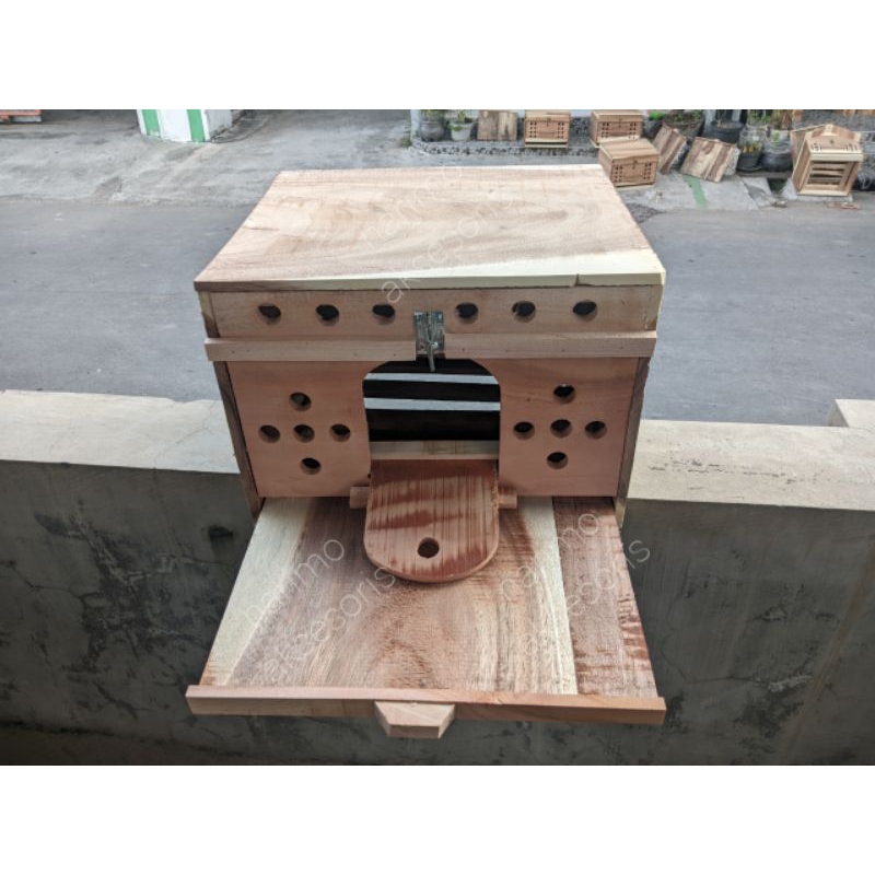 Gupon pagupon tong kandang merpati pagupon ternak