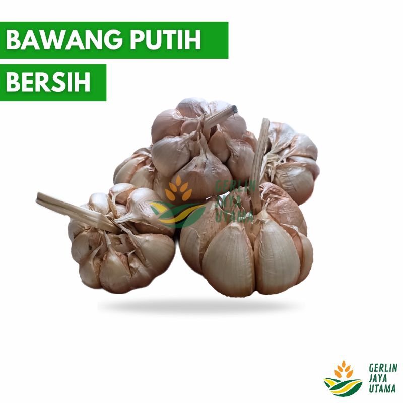 

(150Gram) Bawang Putih Bersihan (Bukan Kating)