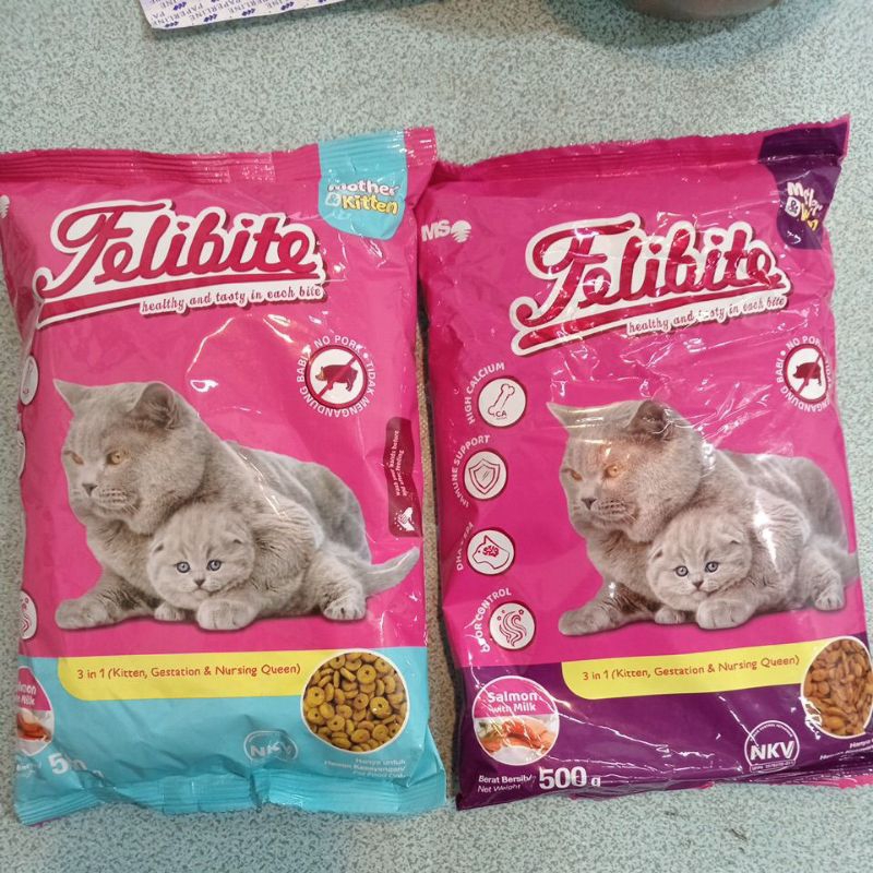 Felibite Mother & Kitten