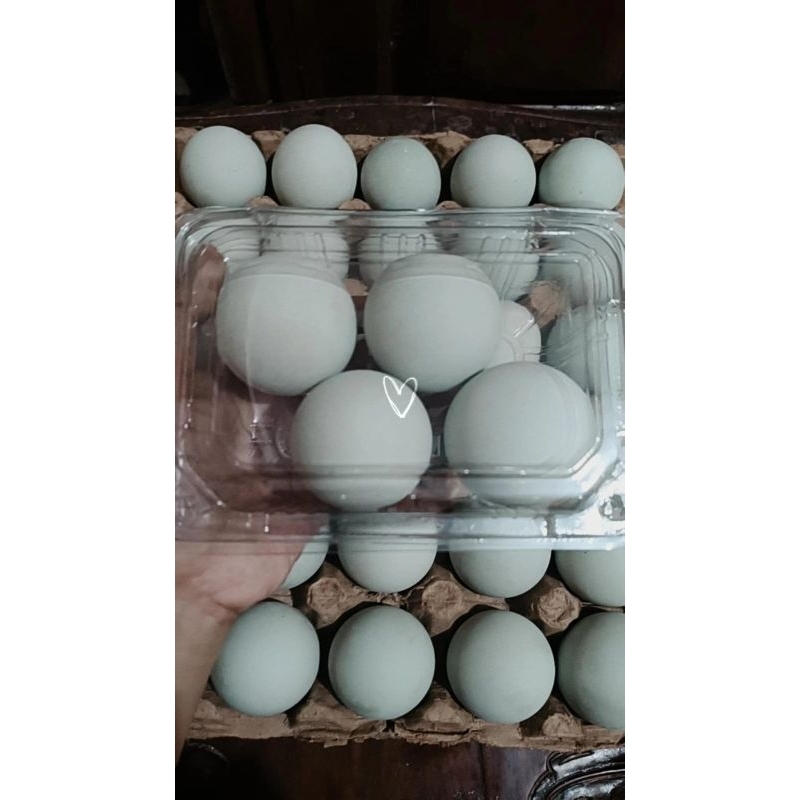 

Telur Asin Matang