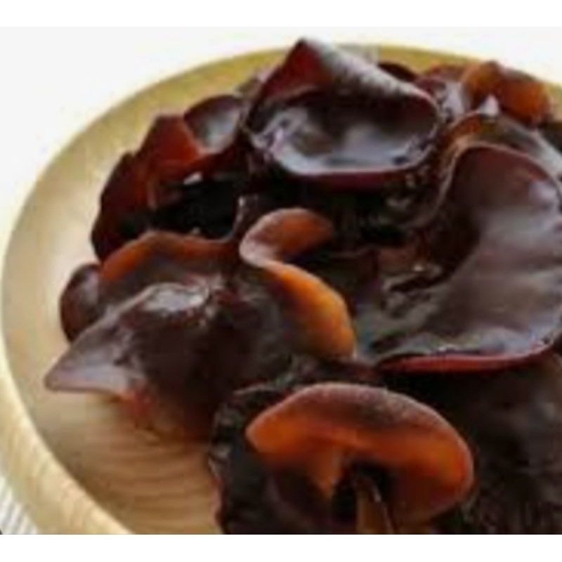 

JAMUR KUPING SEGAR RP. 6.000 / 250 GRAM