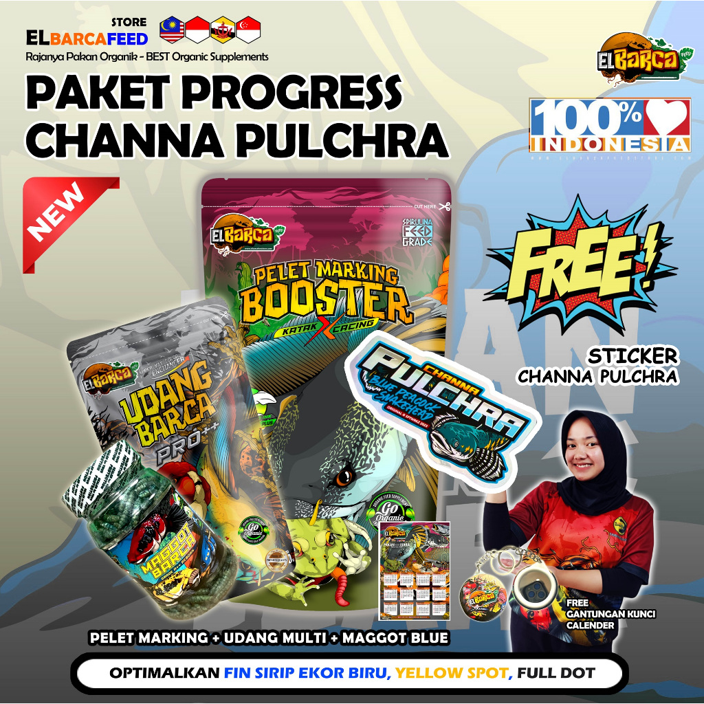 Sco PAKET PAKAN CHANNA PULCHRA (Push Sirip Fin Ekor Biru, Yellow Spot, Full Dot) + Sticker Channa
