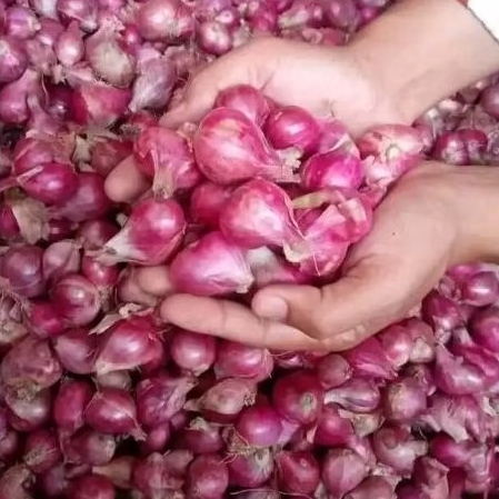 

Bawang merah brebes 1kg ukuran campur