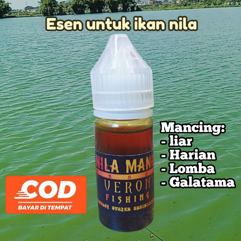 esen mancing nila jer media lumut pelet