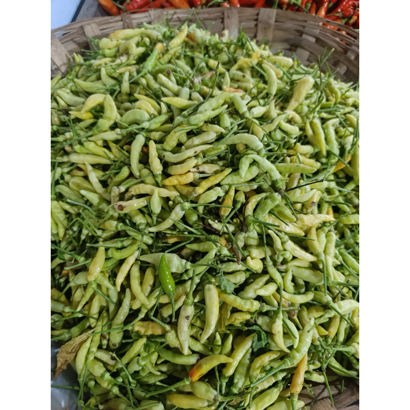 

Cabe rawit/cabai besar/lombok putihan/ cabe tentara / cabe besar hijau