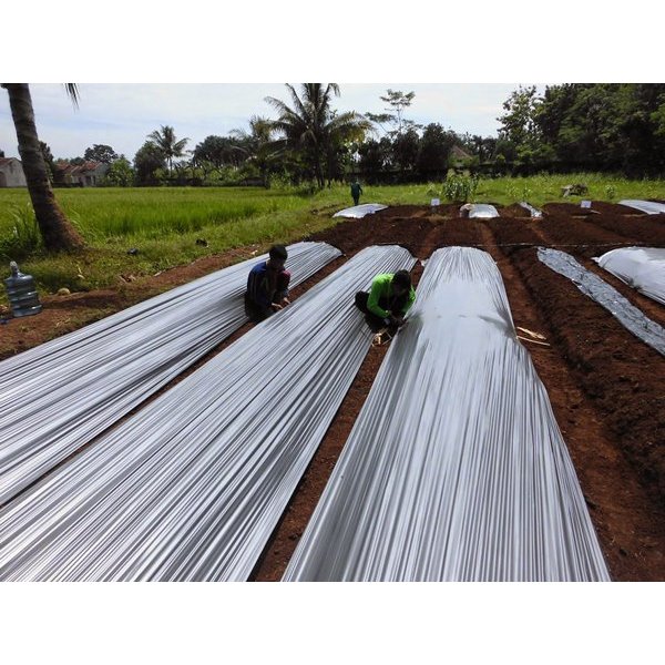 PLASTIK MULSA BELL 18 KG PLASTIK MULSA PERTANIAN