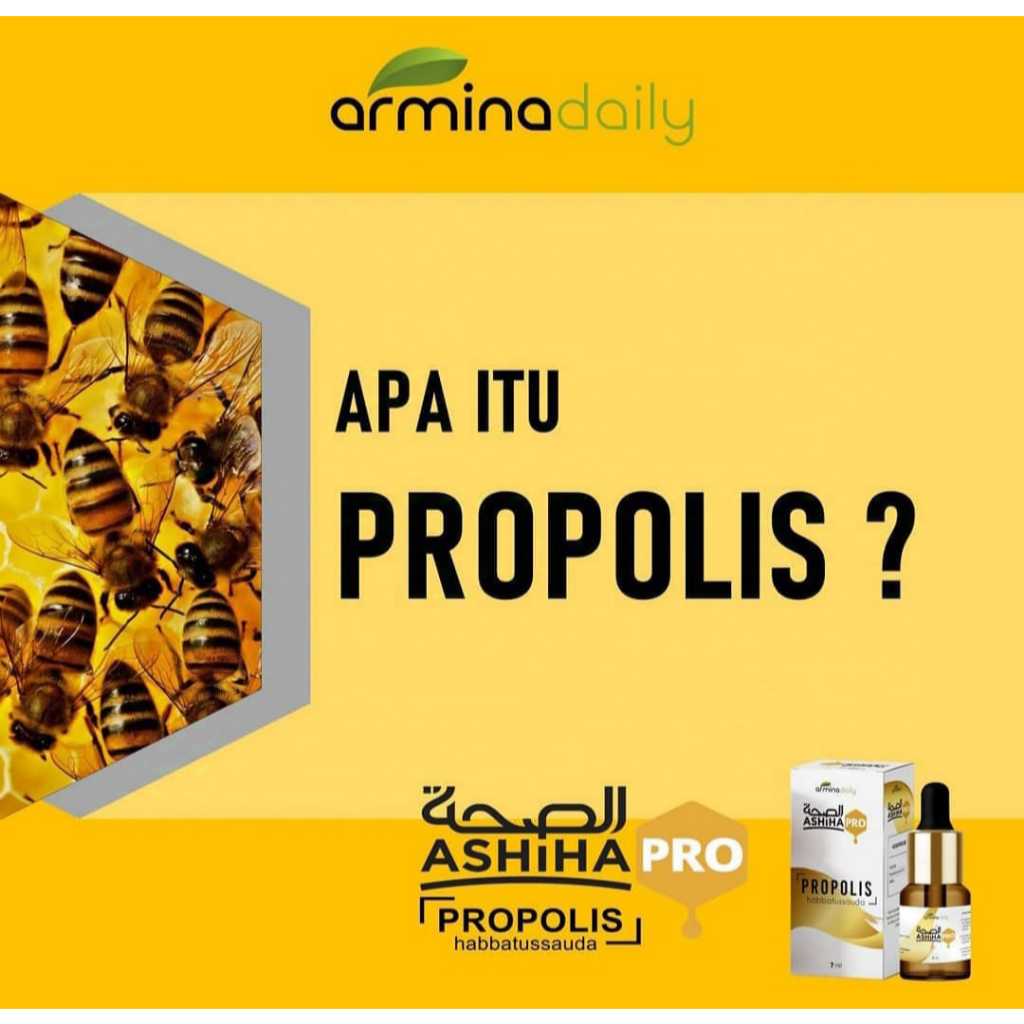 Propolis Ashiha Pro Habbatussauda Armina Daily