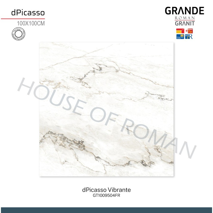 ROMAN GRANIT GRANDE dPicasso Vibrante 100x100 GT1009504FR ROMAN GRANIT