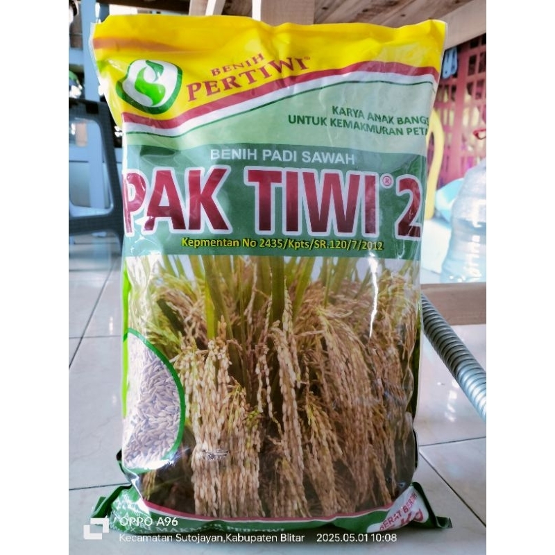 benih padi pak tiwi 2 repack 1kg, benih pertiwi