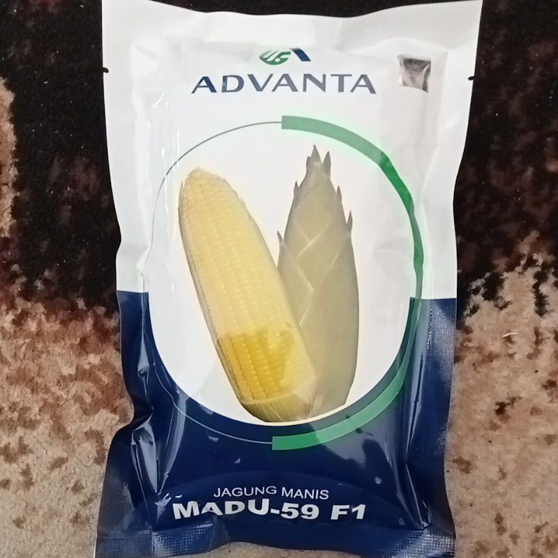

Benih Jagung Manis Hibrida si Madu 59 F1 Advanta