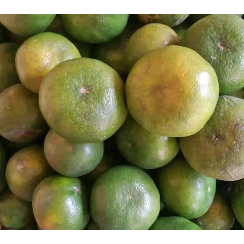 

jeruk manis jember 1kg