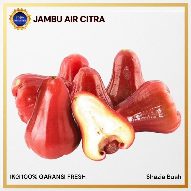 

Jambu Air Citra / Jambu Citra / 1kg