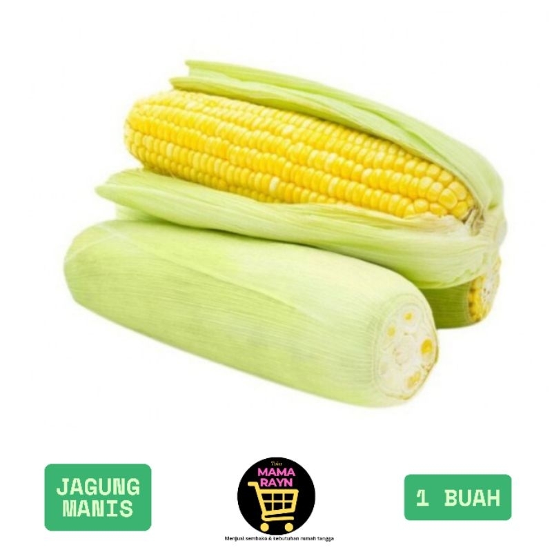 

sayur jagung manis/ jagung manis segar / sayur murah / 1 buah