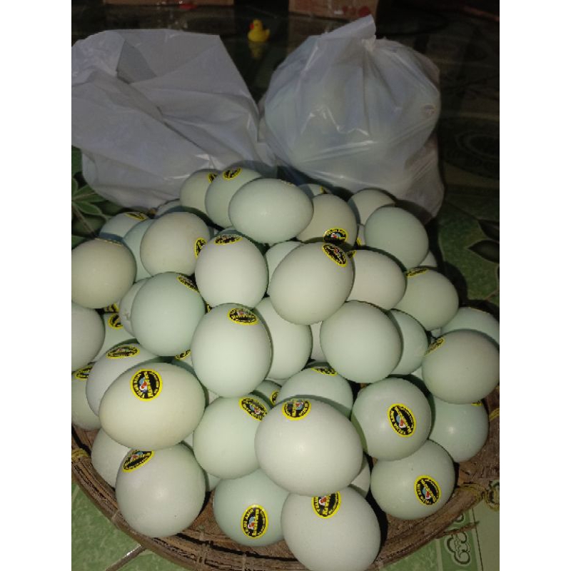 

telur bebek mentah telur asin asli ori telur bebek siap kirim