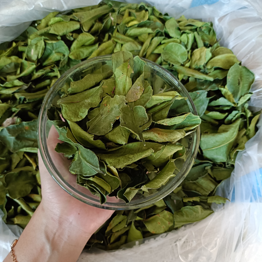 

DAUN JERUK PURUT KERING - DAUN JERUK PREMIUM AROMA KHAS