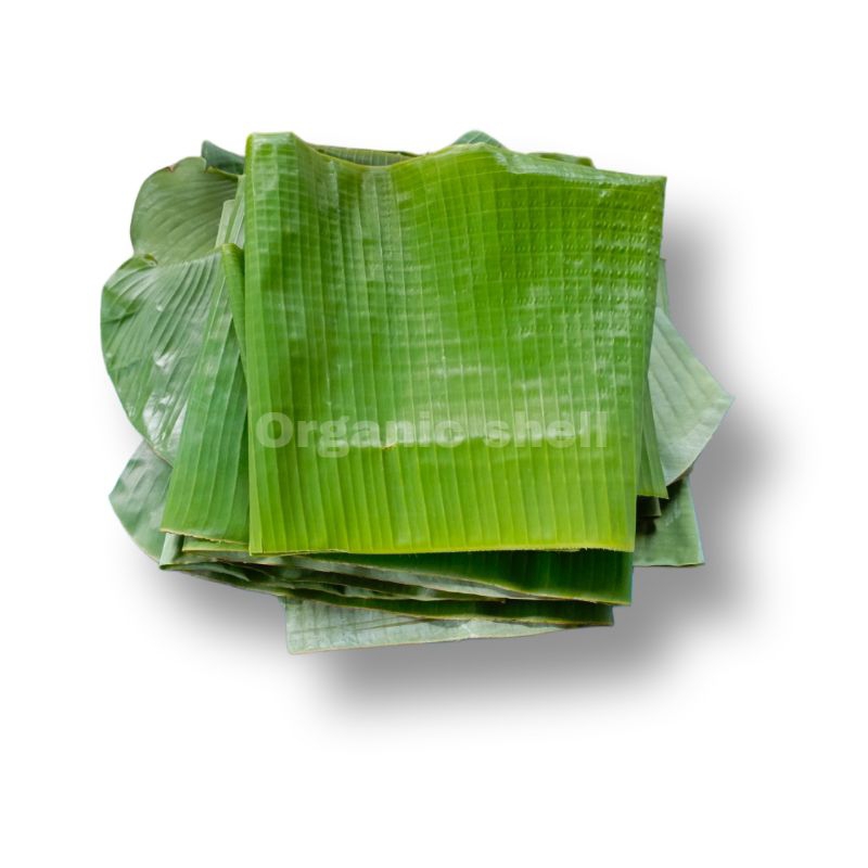 

Daun pisang langsung dari kebun