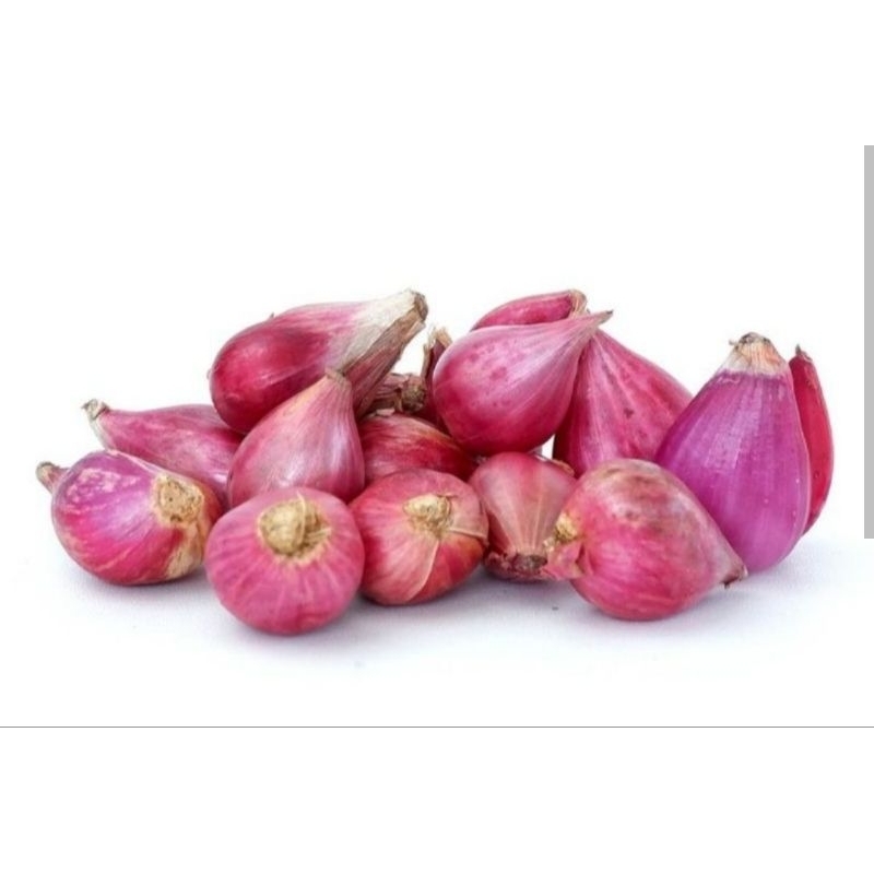 

Bawang Merah Super Besar Mix Tanggung Asli Petani Probolinggo