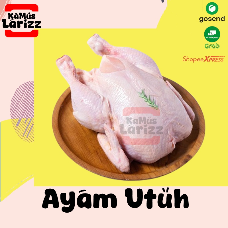 

Ayam Utuh Ayam Karkas 1 ekor