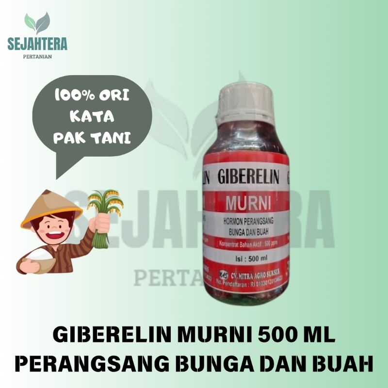 GIBERELIN MURNI 500 ML / PELEBAT BUNGA DAN BUAH PADA TANAMAN