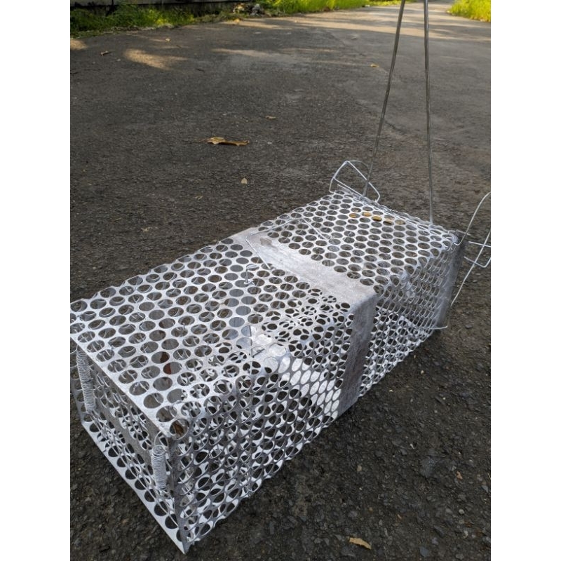 jebakan prangkap Luwak/garangan musang biawak-jebakan luwak jebakan garangan jumbo besar