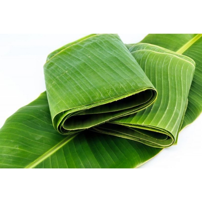 

DAUN PISANG SEGAR