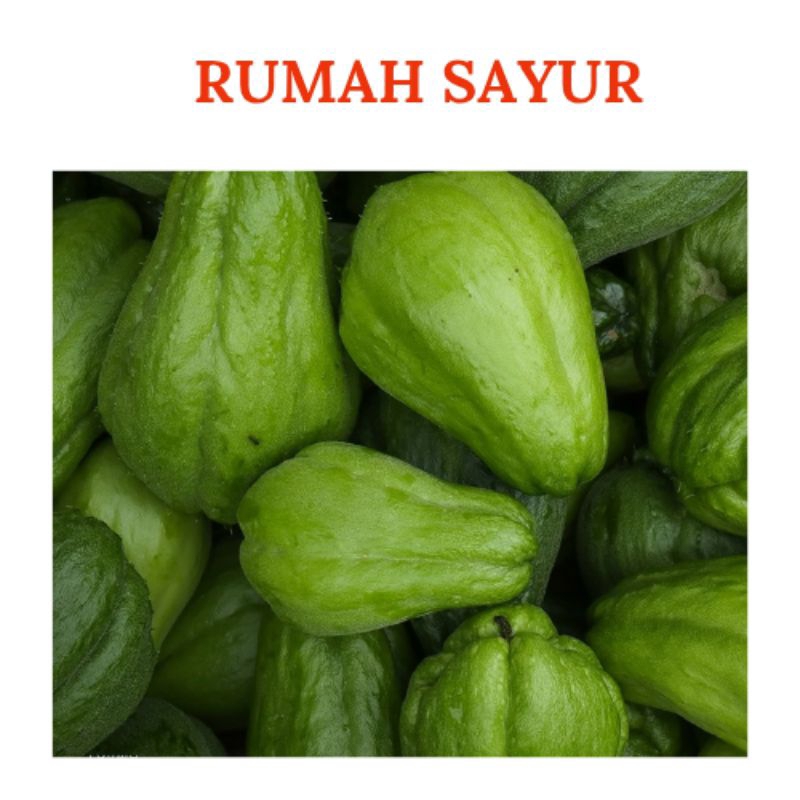 

Labu Siam atau jipang