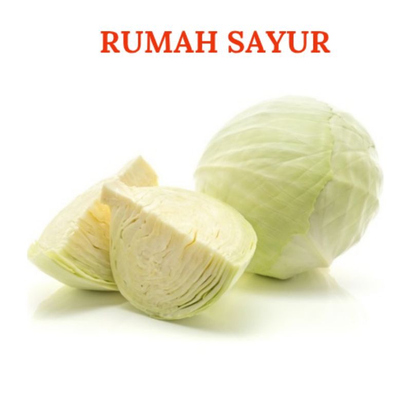 Sayur Kol ,Bunga Kol dan Brokoli