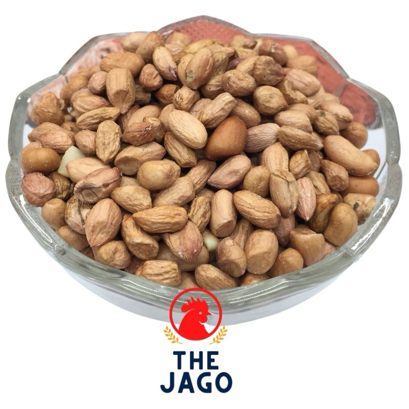 

Kacang Tanah Obe Dan Kacang Tanah Bali Putih
