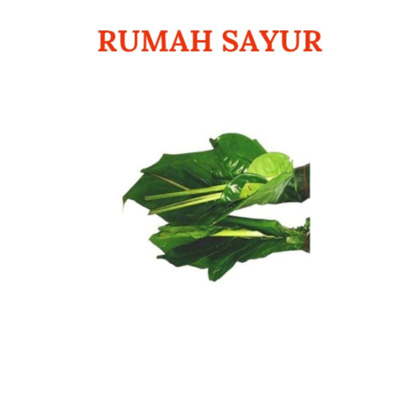 

Dedaunan Aromatik; Daun Kunyit, Daun Jeruk, Daun Salam, Daun Pandan, Sereh