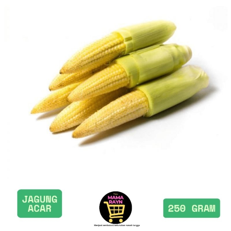 

sayur jagung acar / putren segar / sayur murah / 250 gram