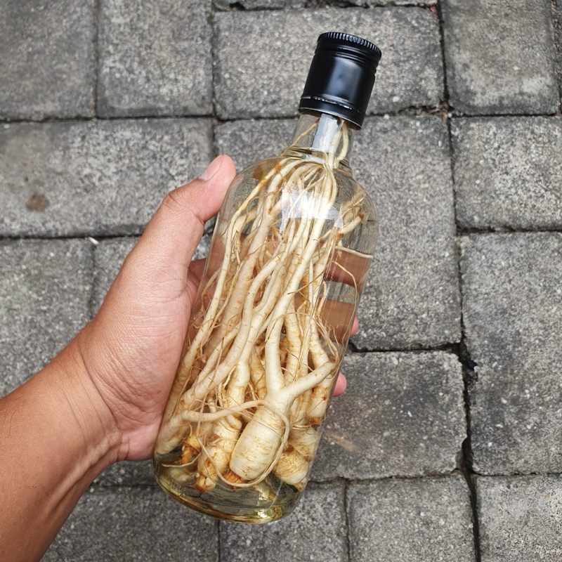 botol kaca 500ml + ginseng fresh