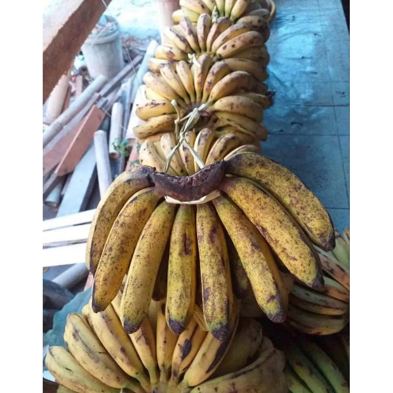 

PISANG MEDAN/SISIR