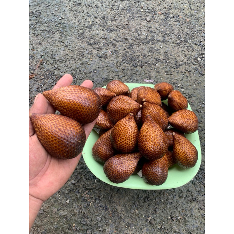

Salak Pondoh Manis Buah Salak Fresh Pondoh 1kg isi 10-15 Buah Asli Banjarnegara Grade Premium