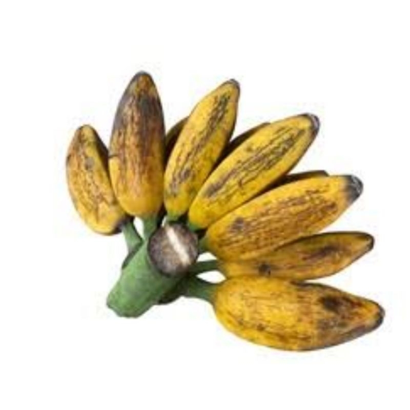 

pisang sobo 1 kg