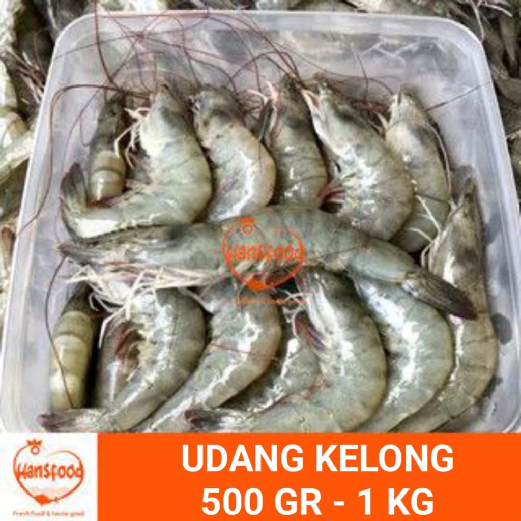 

Udang kelong Segar/frozen 500gr - 1kg