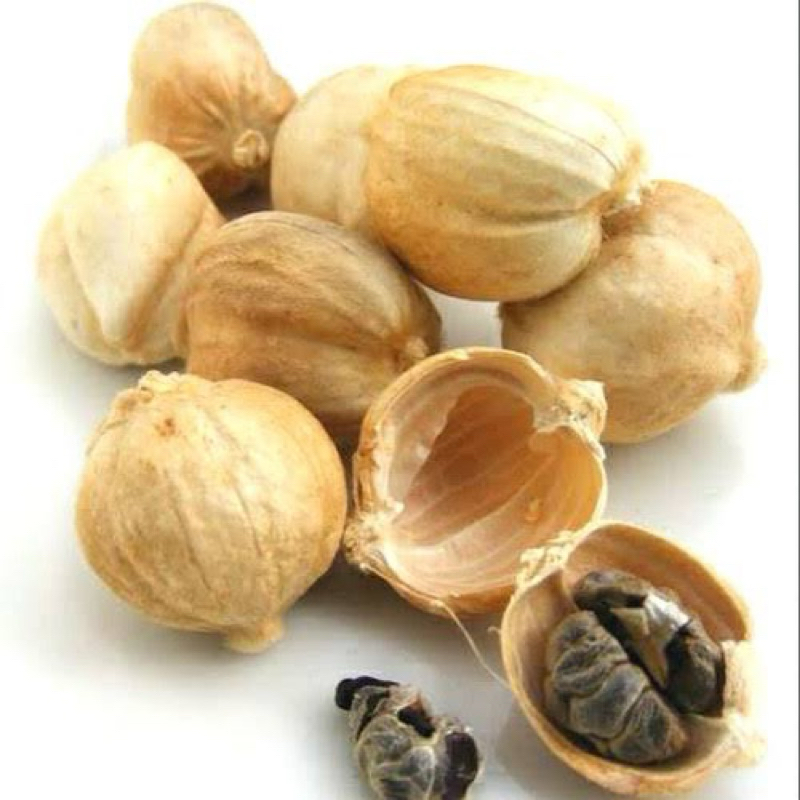 

Kapulaga kering untuk racikan bumbu masak maupun herbal, wedang uwuh, sate dll
