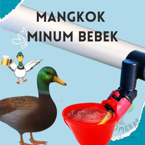 Nipel Nipple Nipple Mangkok minum unggas tipe A10 cocok untuk burung ayam bebek