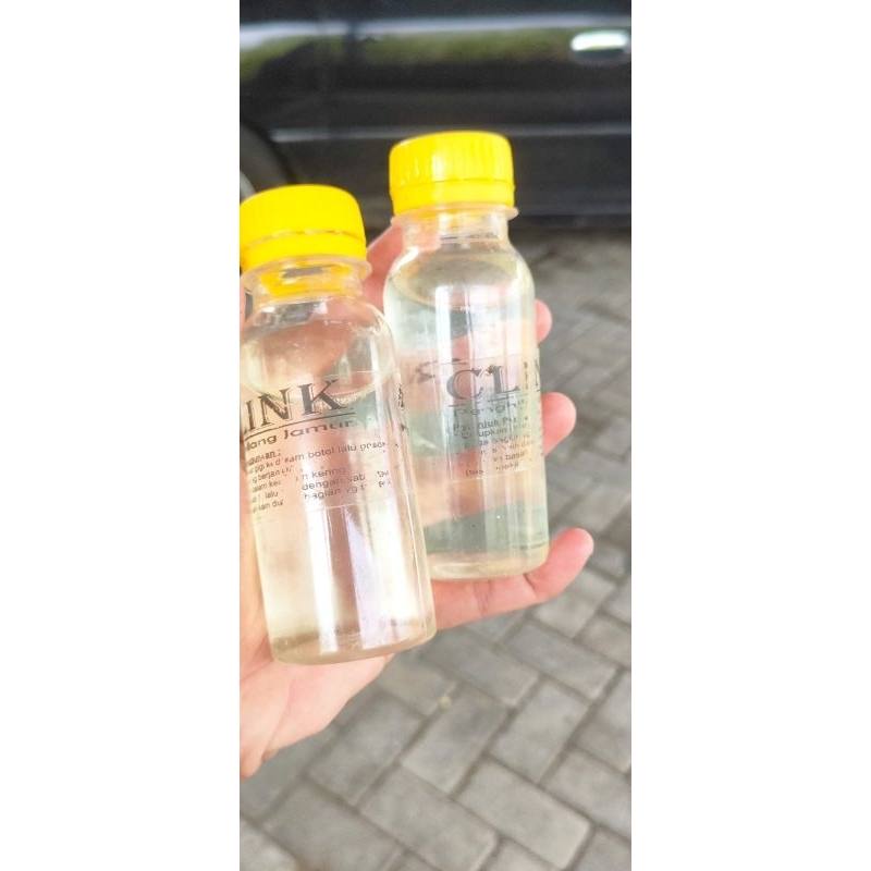 Clink Pembersih Jamur