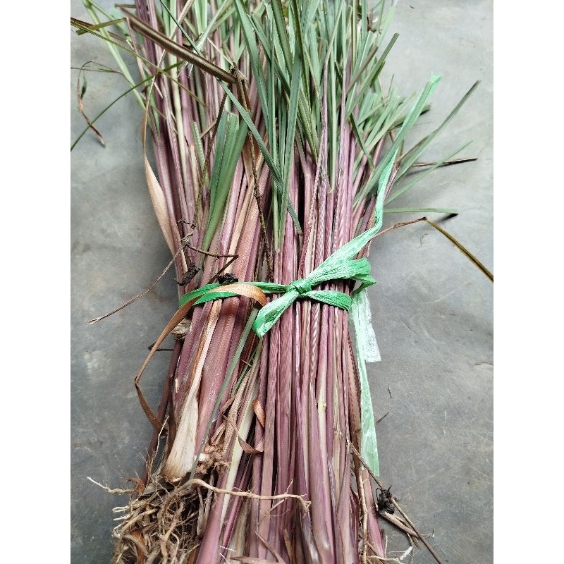 

Sereh wangi serai merah segar 1kg