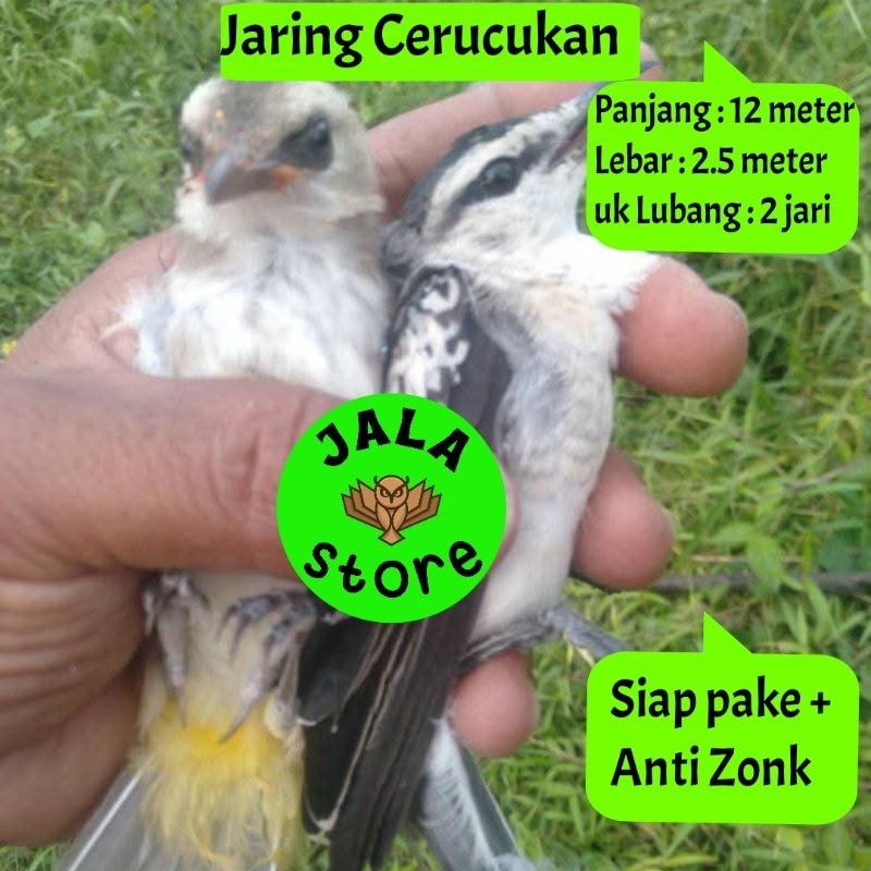 JARING JERAT BURUNG TRUCUKAN JARINGAN BURUNG SIAP PAKE JARING BURUNG TRUCUKAN JALA PIKAT BURUNG SIAP