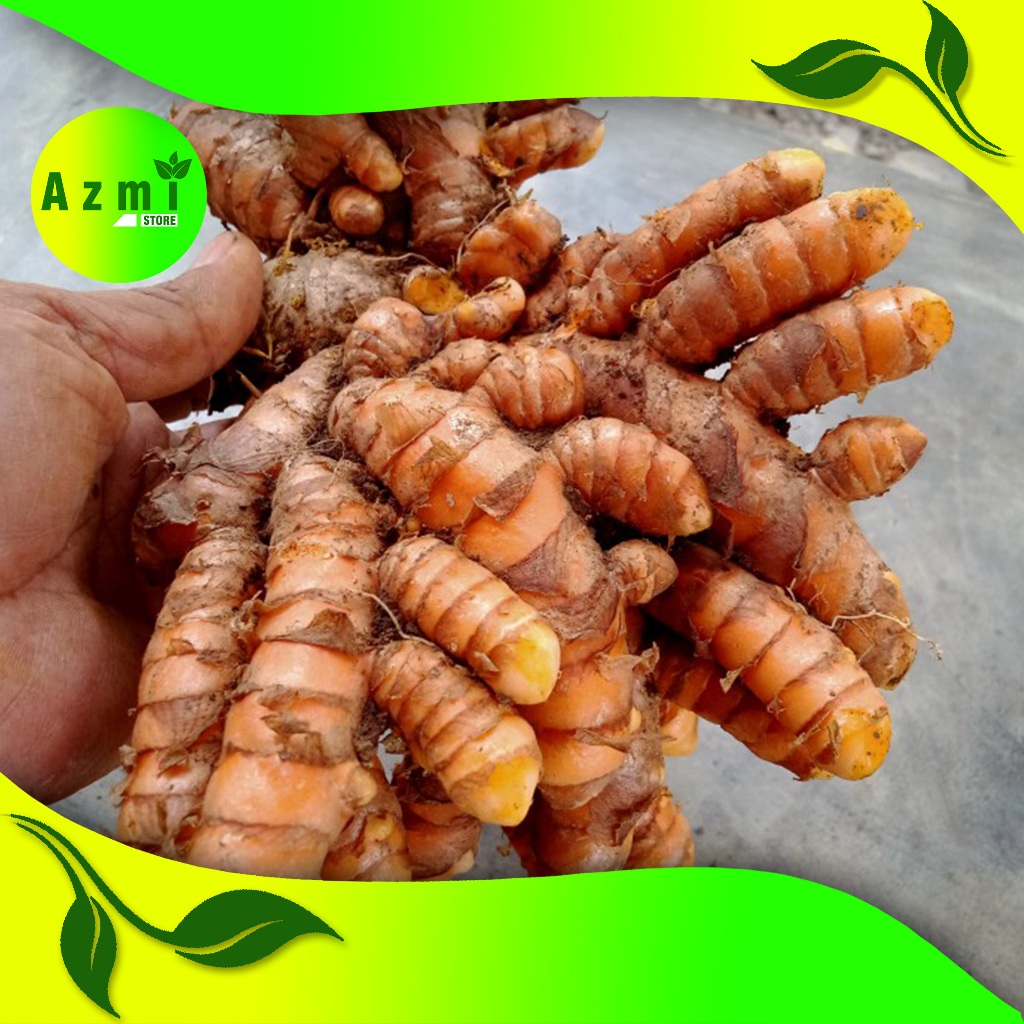 

kunyit sayur kwalitas super