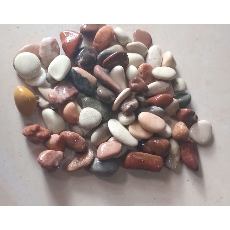 Batu pancawarna 1kg ukuran 7mm-9mm/batu sikat/Batu koral kecil/Batu kupang/Batu krikil pancawarna 1k