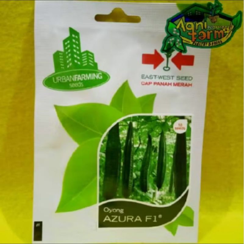 Bibit Oyong/Benih Oyong AZURA F1 Cap Panah Merah