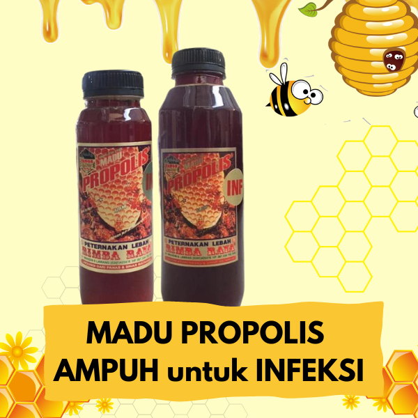 

MADU Propolis untuk INFEKSI Lambung MAAG RADANG (PETERNAKAN LEBAH REAL) lihat testimoni