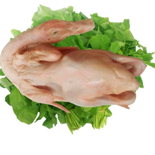 

Karkas Bebek Peking 0.9 Utuh